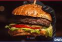 hamburger dn.png