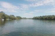 Sava