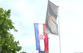hvo