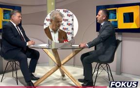 zuzul brkic