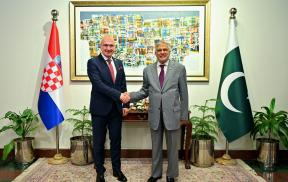 grlić radman u pakistanu