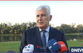 covic knjiga dn.png
