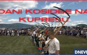 dkk dn.png