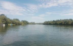 Sava