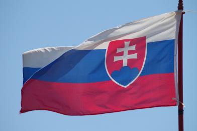 Slovačka zastava 