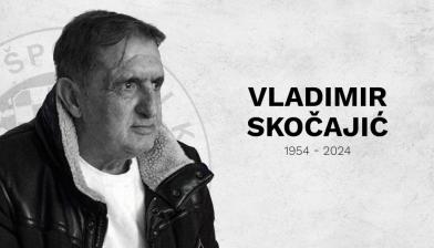 vladimir skocajic