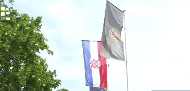 hvo