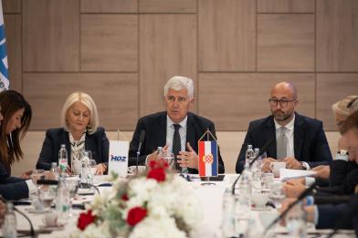 hdz bih