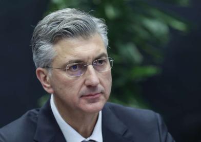 Plenkovic fena HD