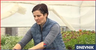 cvijece slavica dn.png