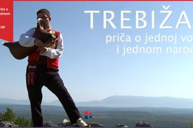 trebizat.png