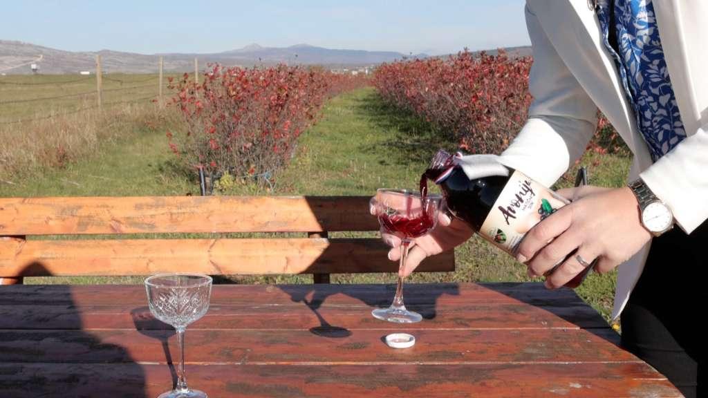 vino