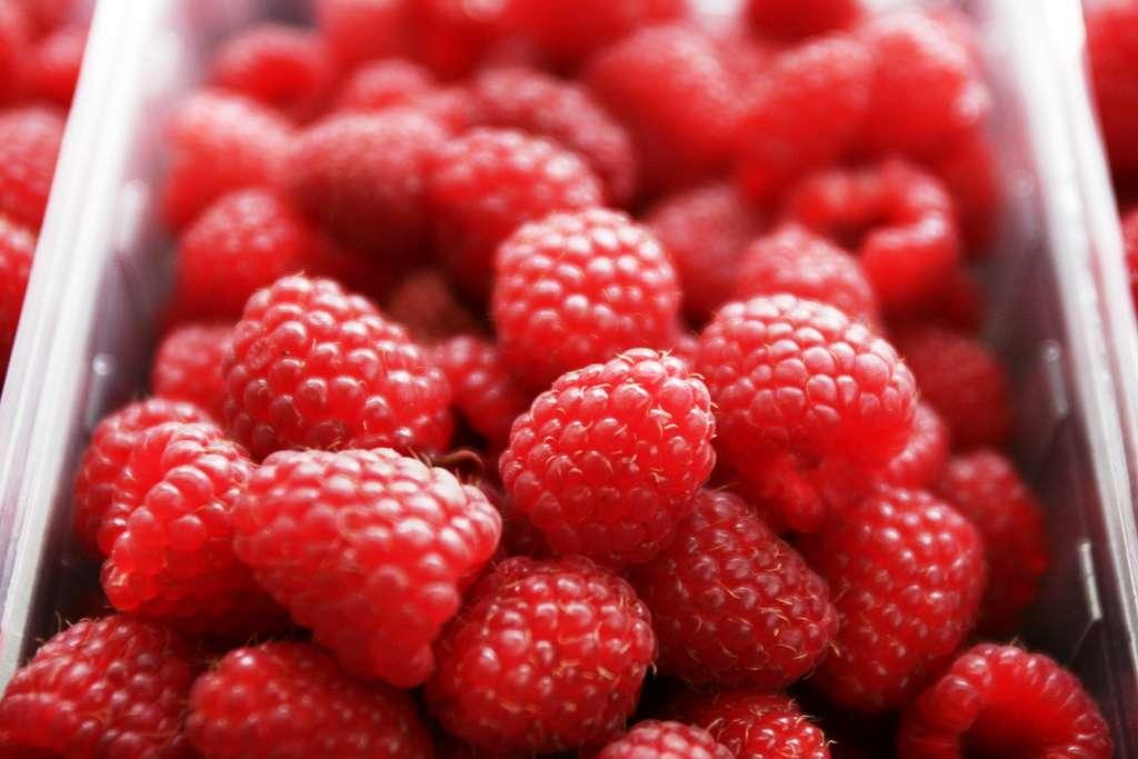 maline malina