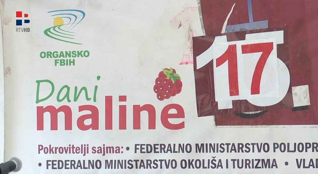 Dani maline
