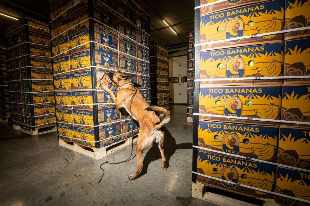 banane