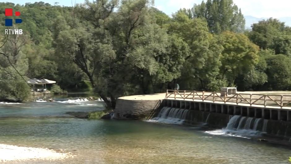 bunica