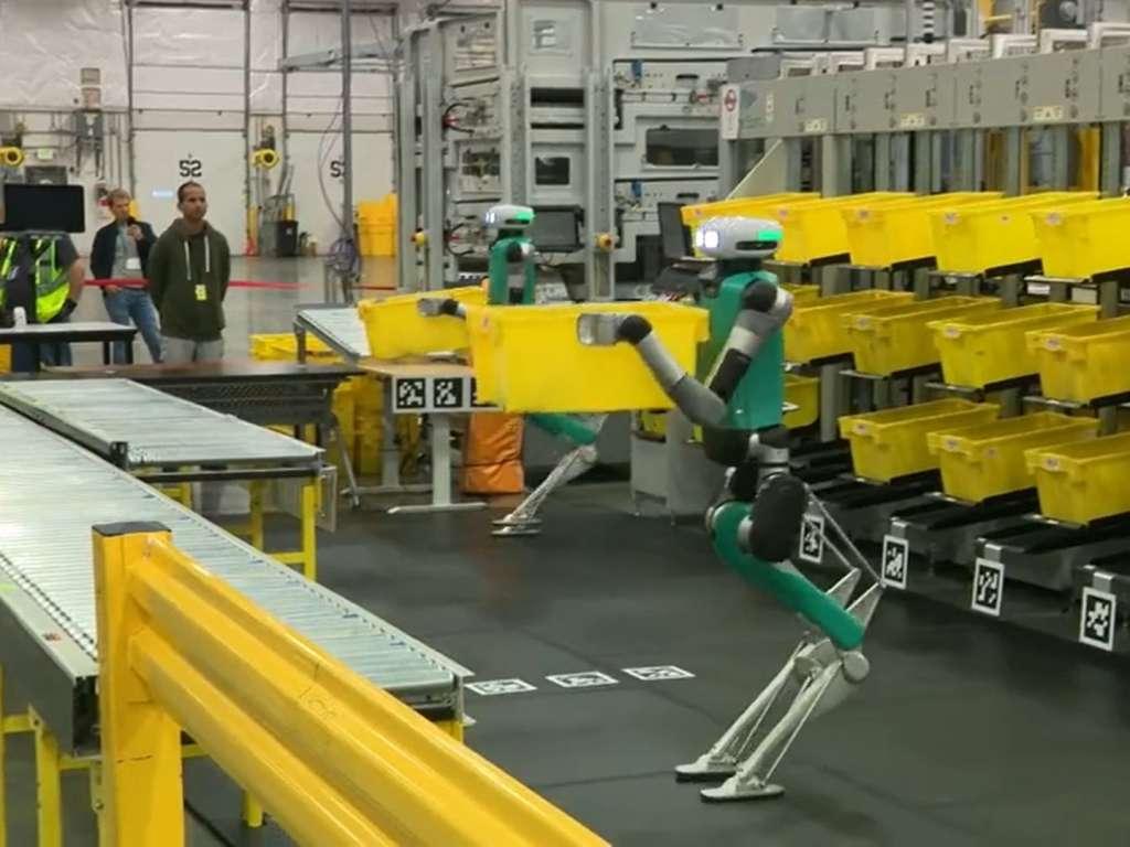 amazon