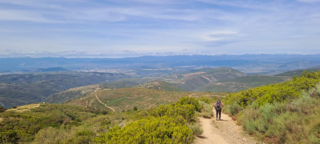 camino 123