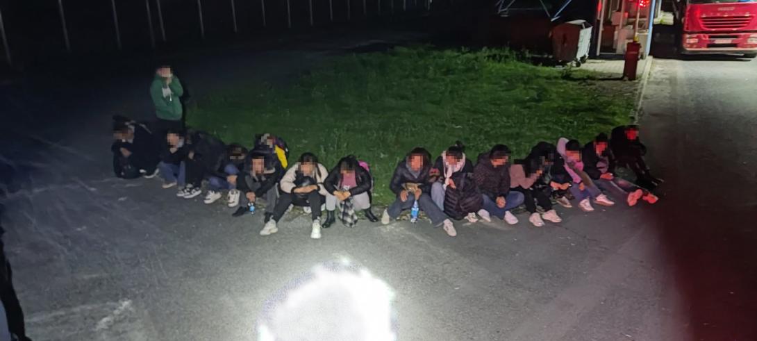 krijmmčarene osobe orašje 
