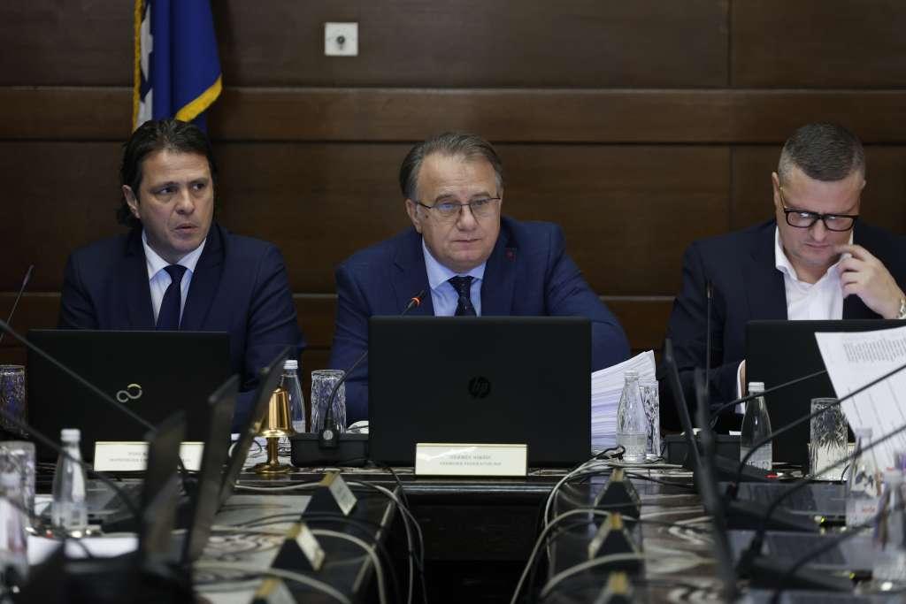 Fenna nasilje u obitelji vlada FBiH 