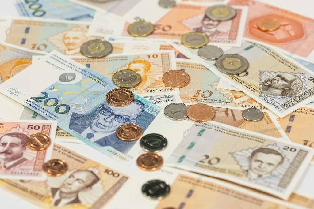 federacija bih invalidnine 