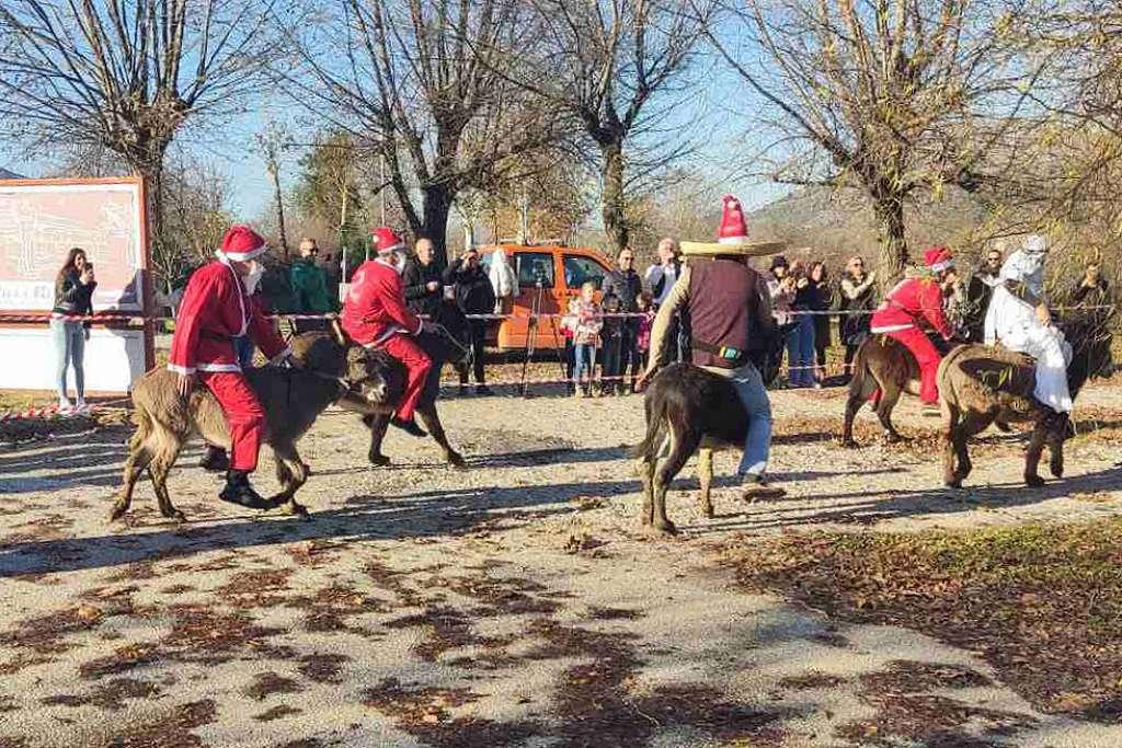 magarci capljina