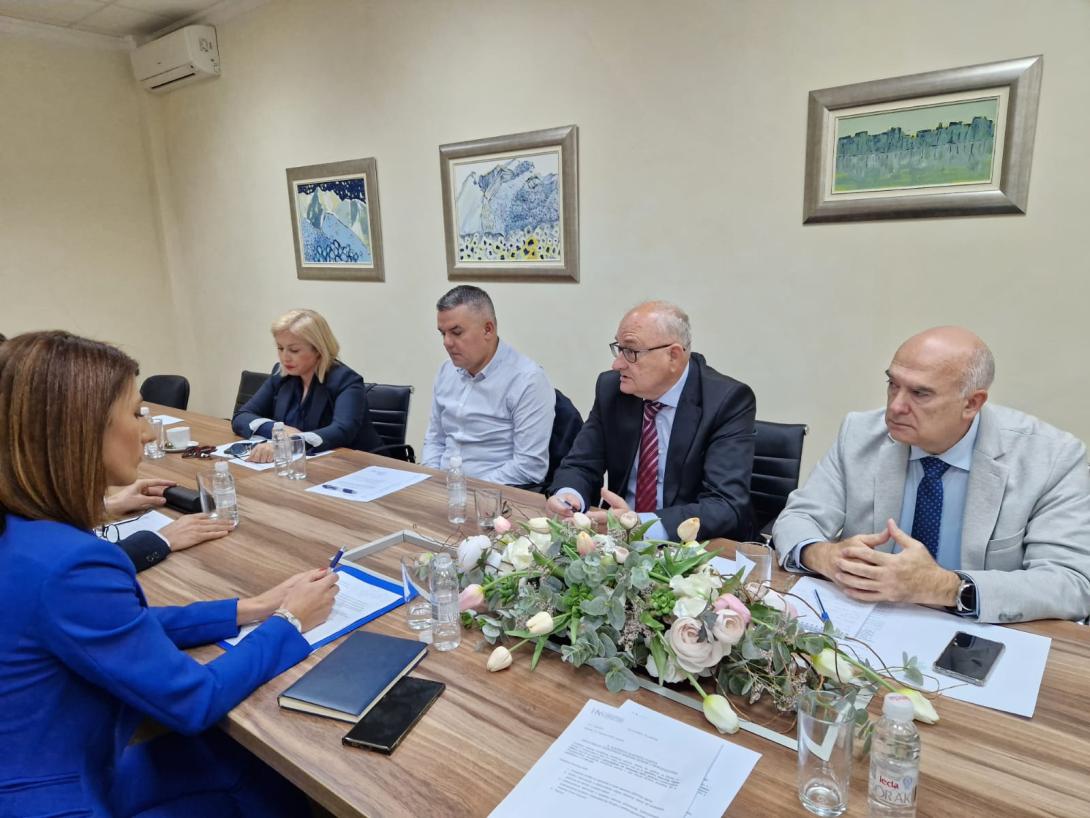 glavno vijeće hns bih