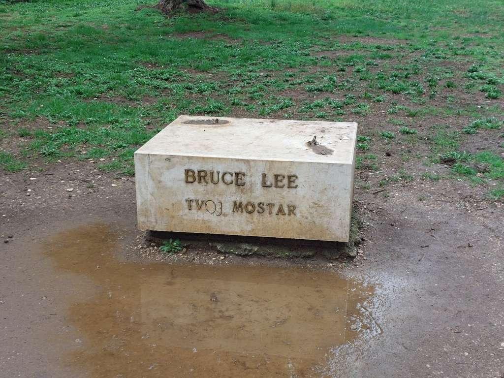 kip bruce lee