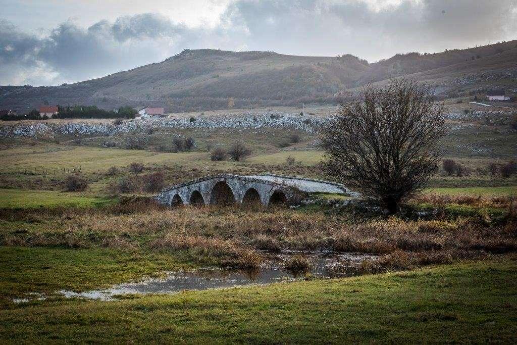 šujica