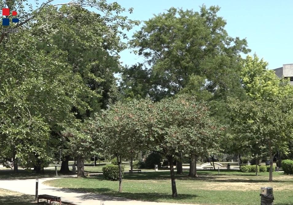 park