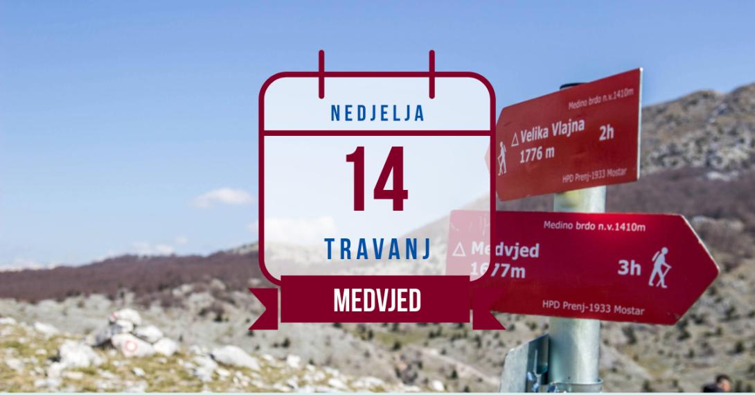 Medvjed