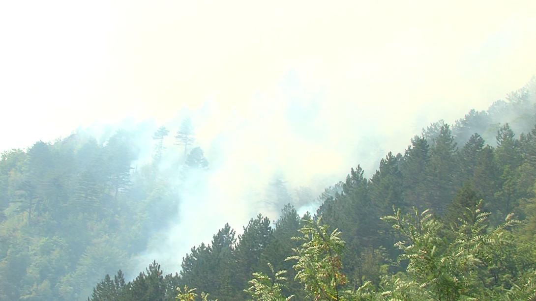 fires