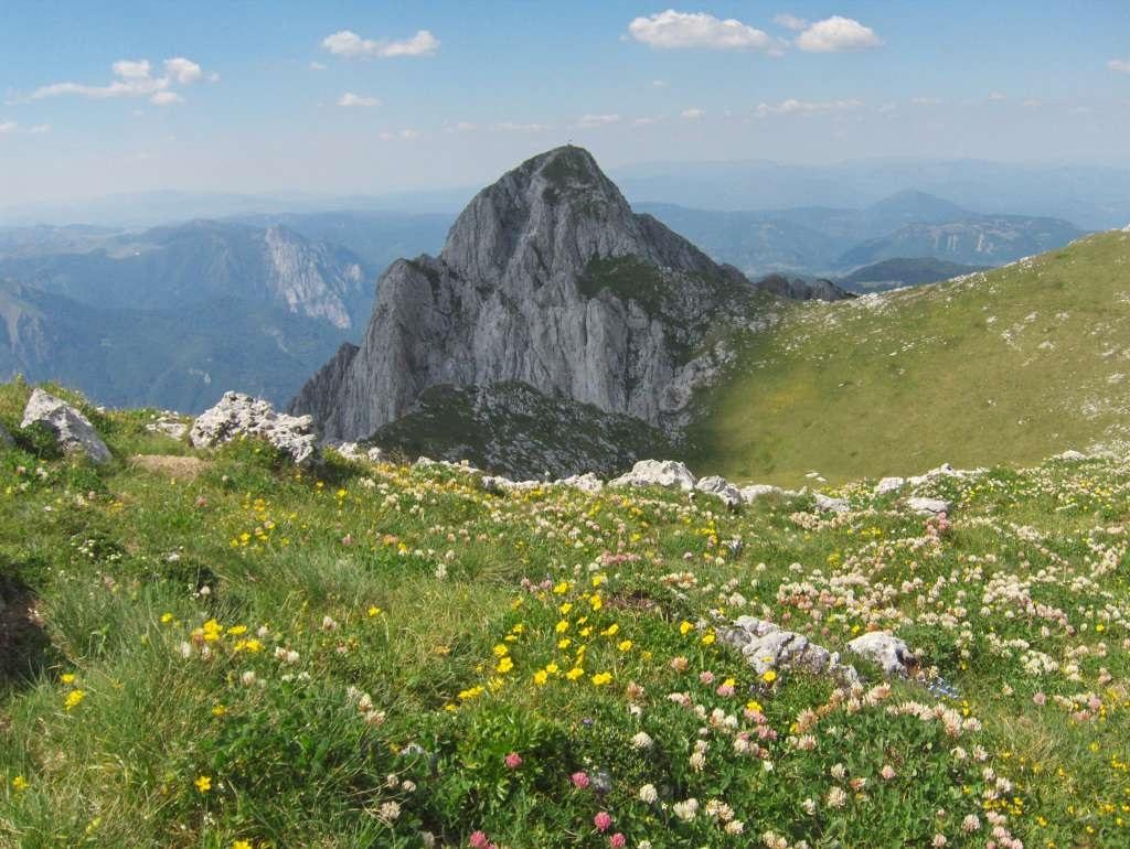vremenska