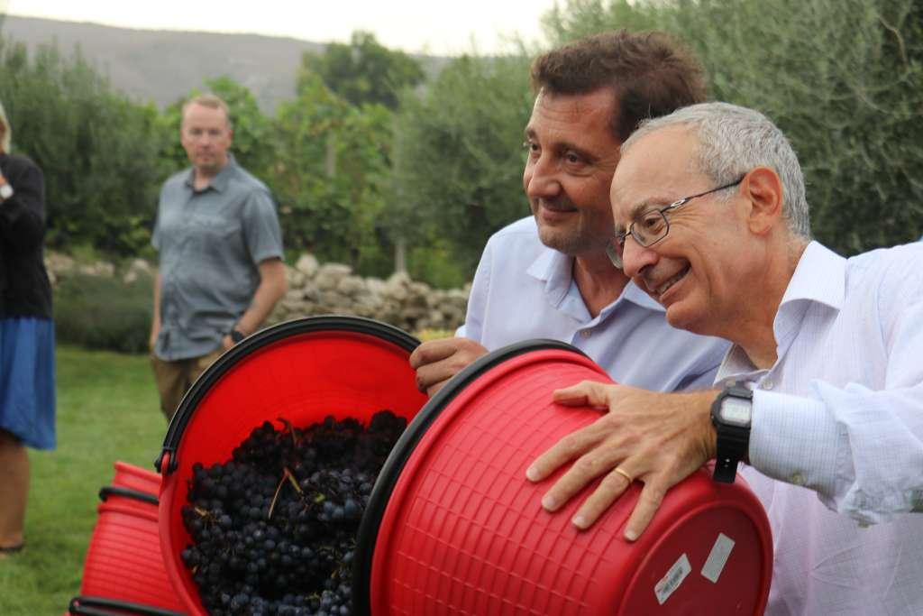 berba 2024
