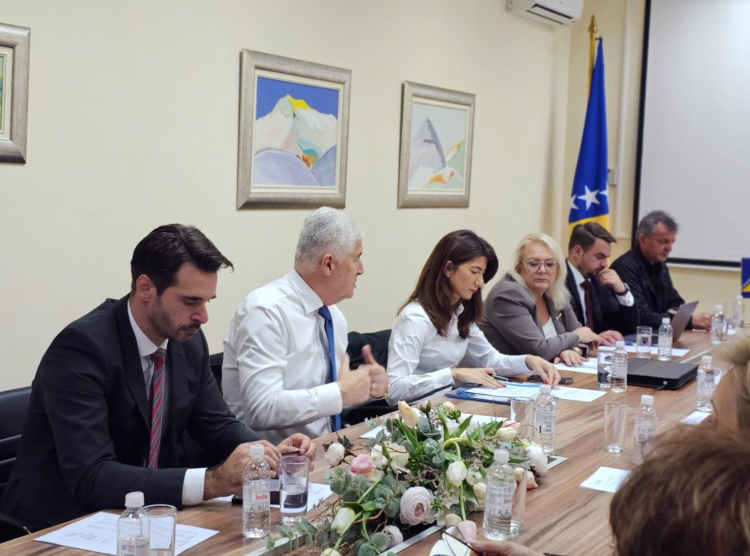 hns bih sjednica predsjedništva 13