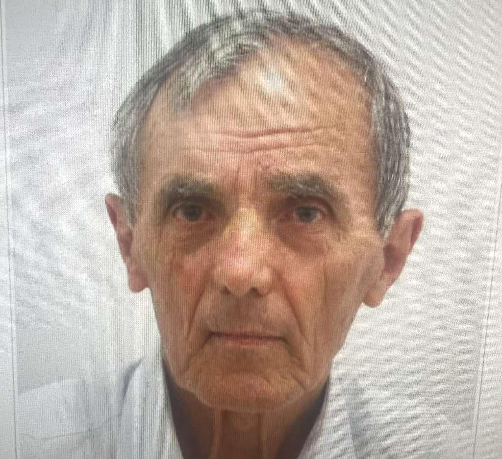 gojko topić