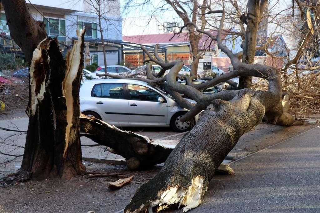vjetar