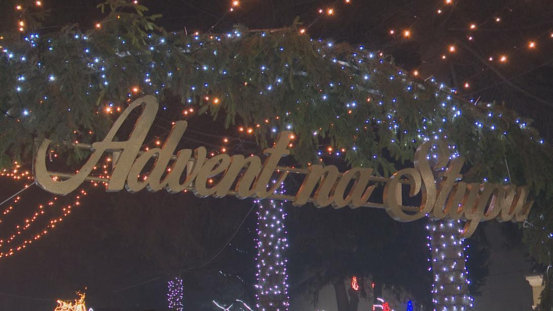 ADVENT OLIVERA.png