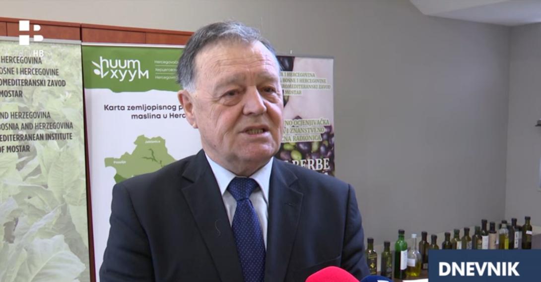 dani masline