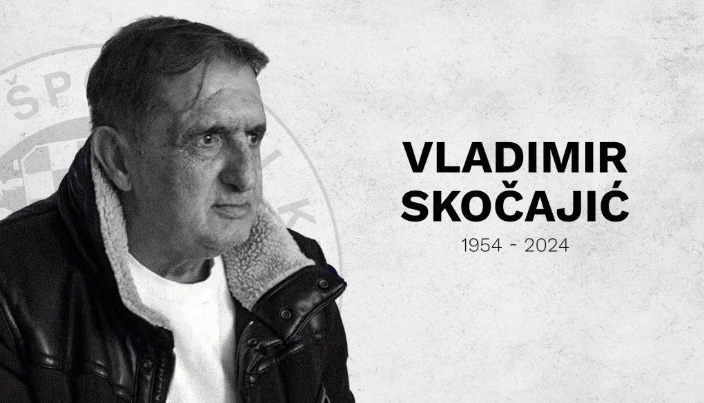 vladimir skocajic