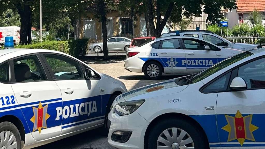 policija strana