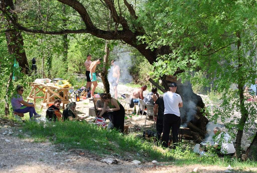 bonica
