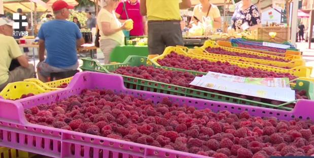 maline