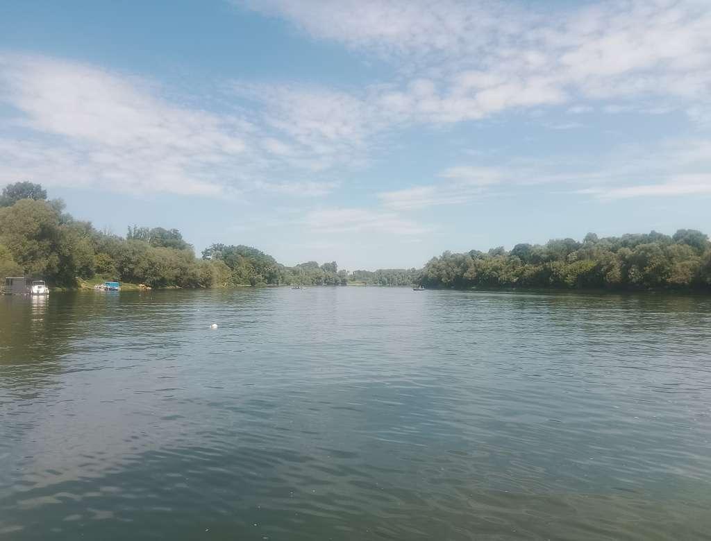 sava