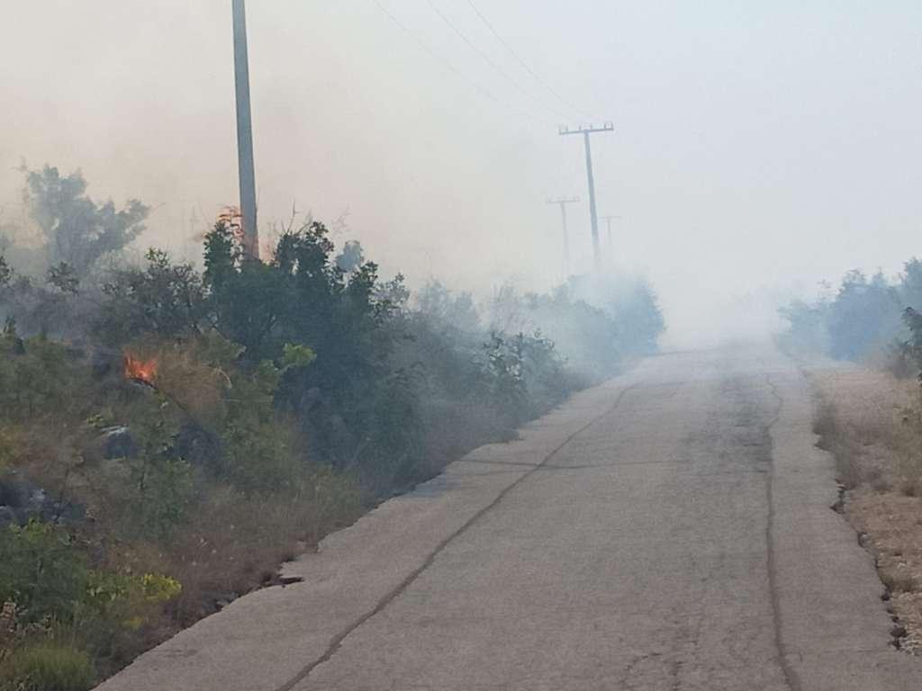 Nsnana