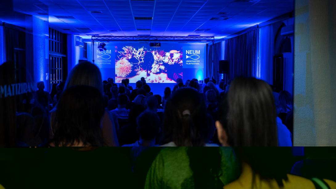 neum film festival