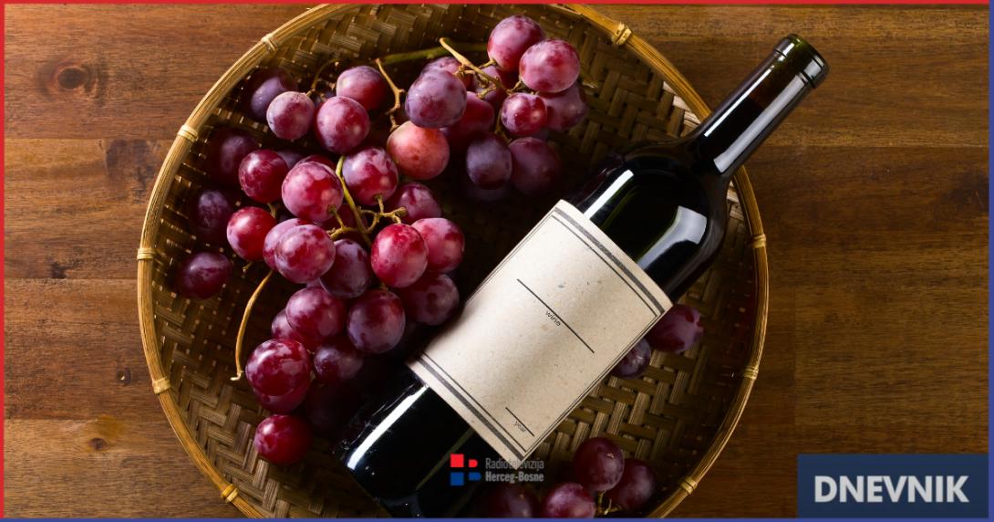 vino dnevnik ms.png