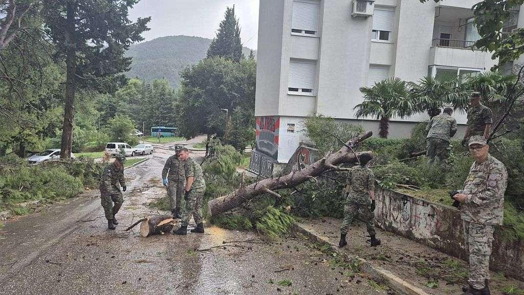 vojska