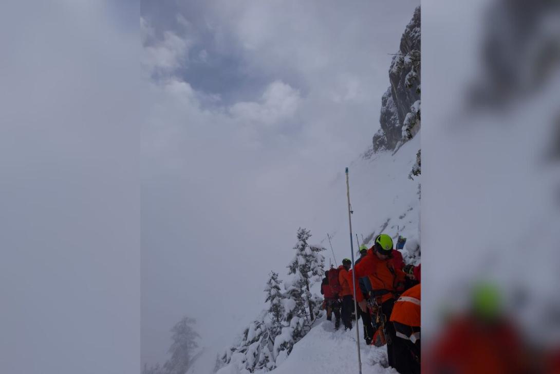 asnijeg alpe planina 