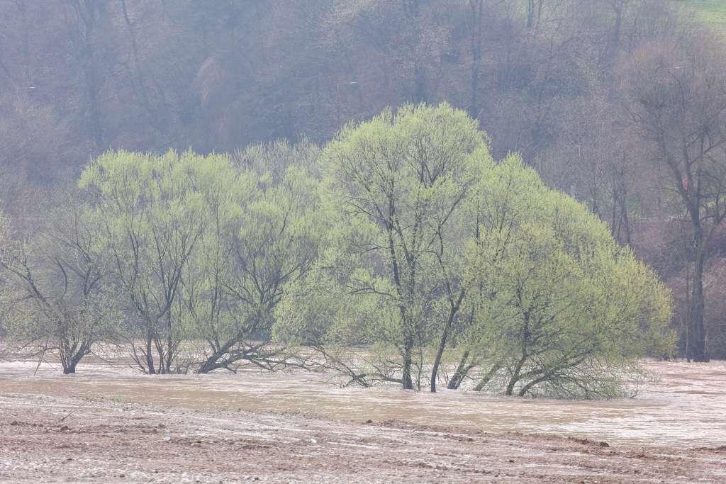 poplave